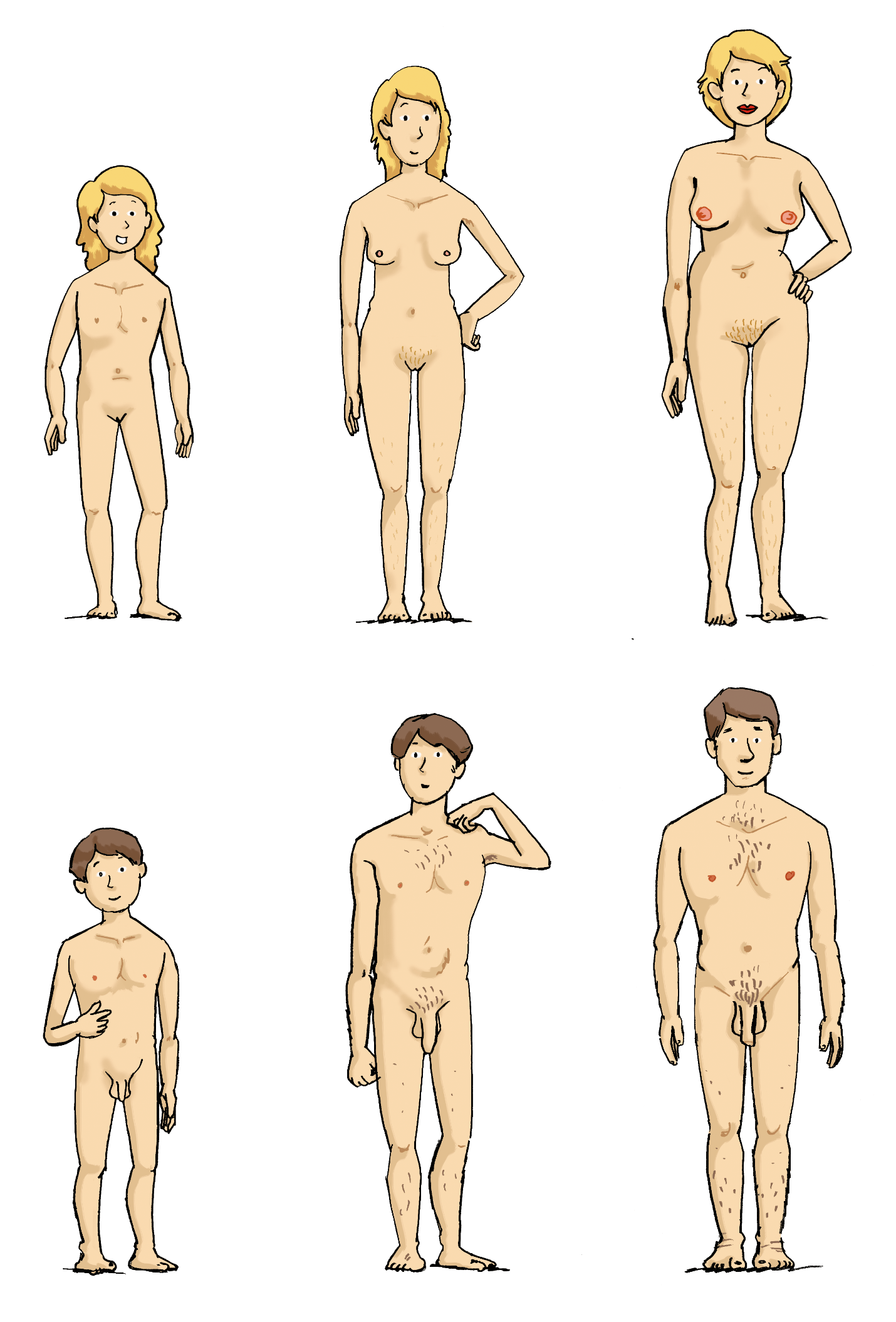 Illustration: Körperveränderung vom Kind zum Erwachsenen